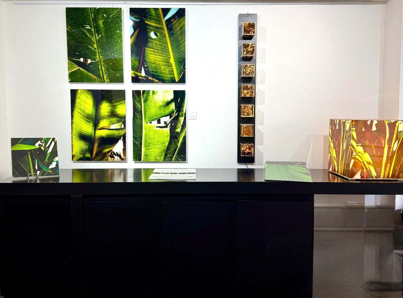 Art Faces e Luzes da Floresta by Silvana LaCreta Ravena