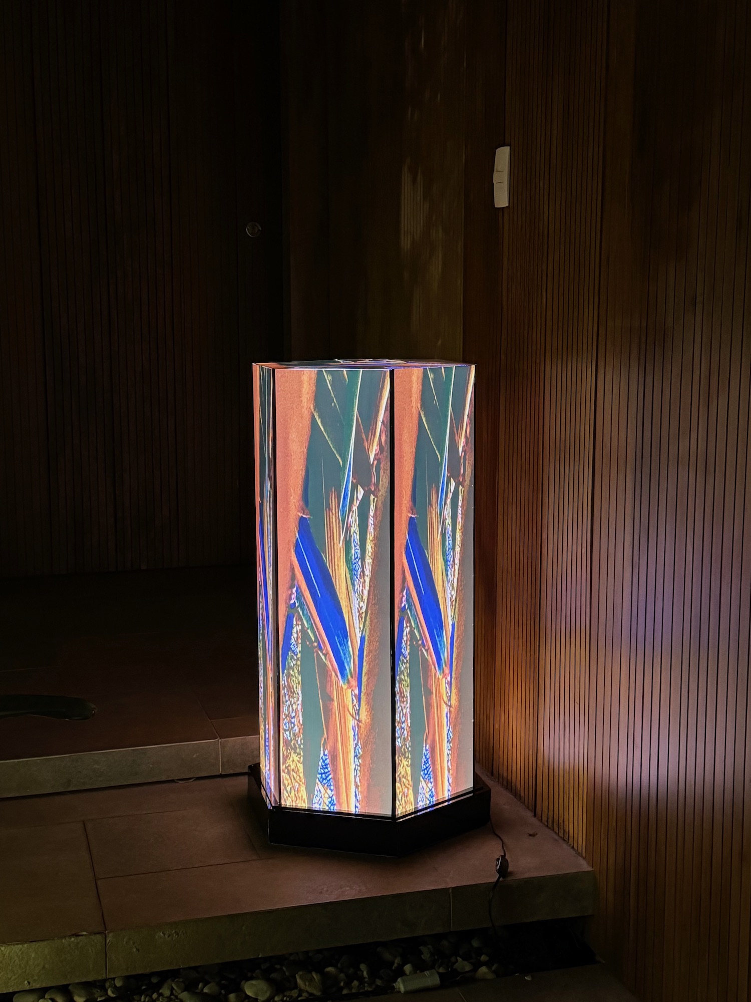 Art Luzes da Floresta Private Collection by Silvana LaCreta Ravena