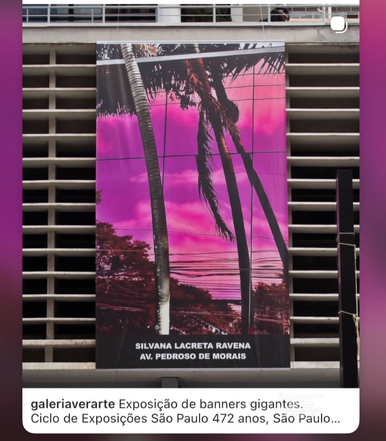 Banner Gigante foto Pink Pedroso by Silvana LaCreta Ravena