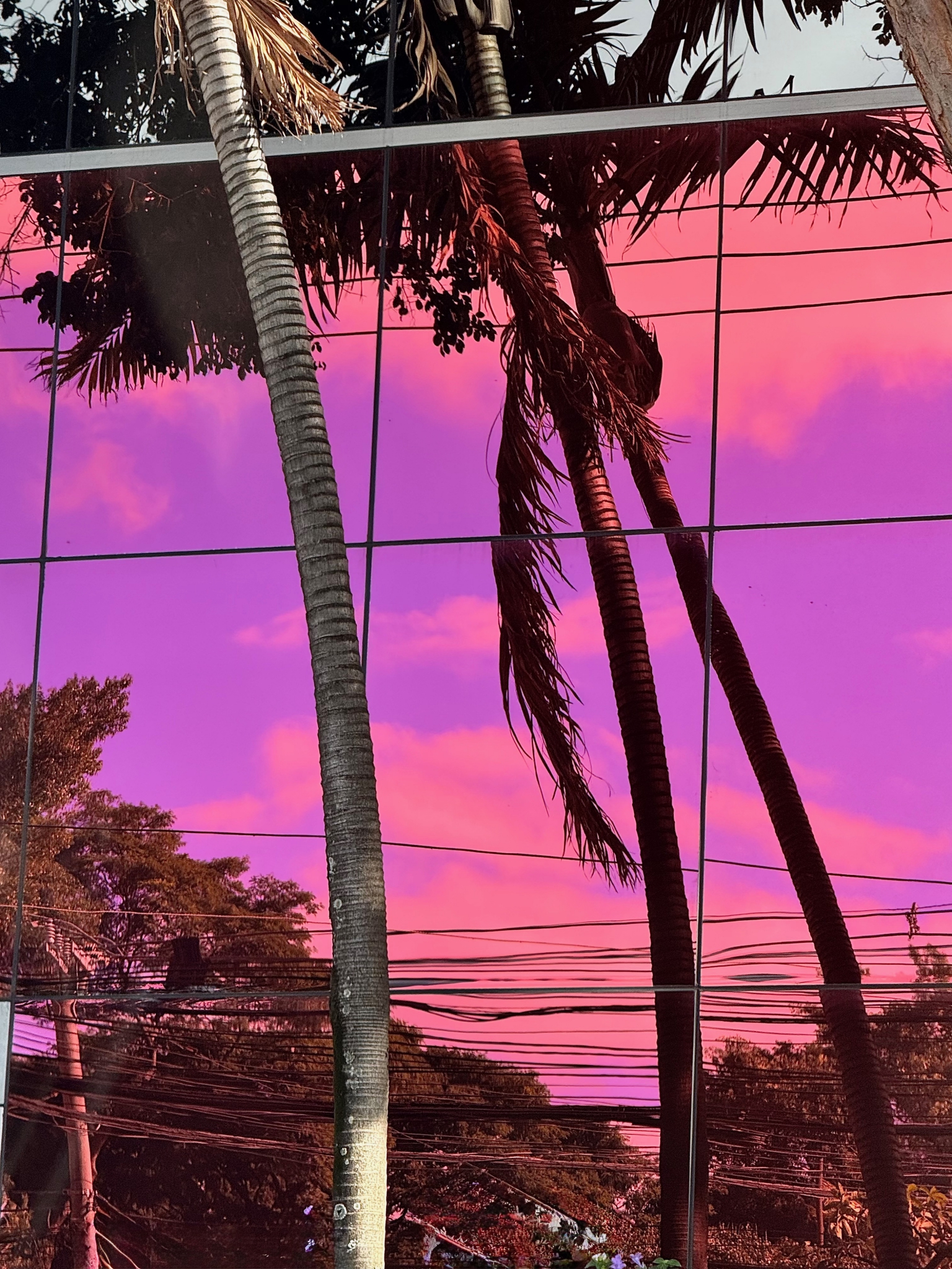 Click here to view Photography artwork by Silvana LaCreta Ravena