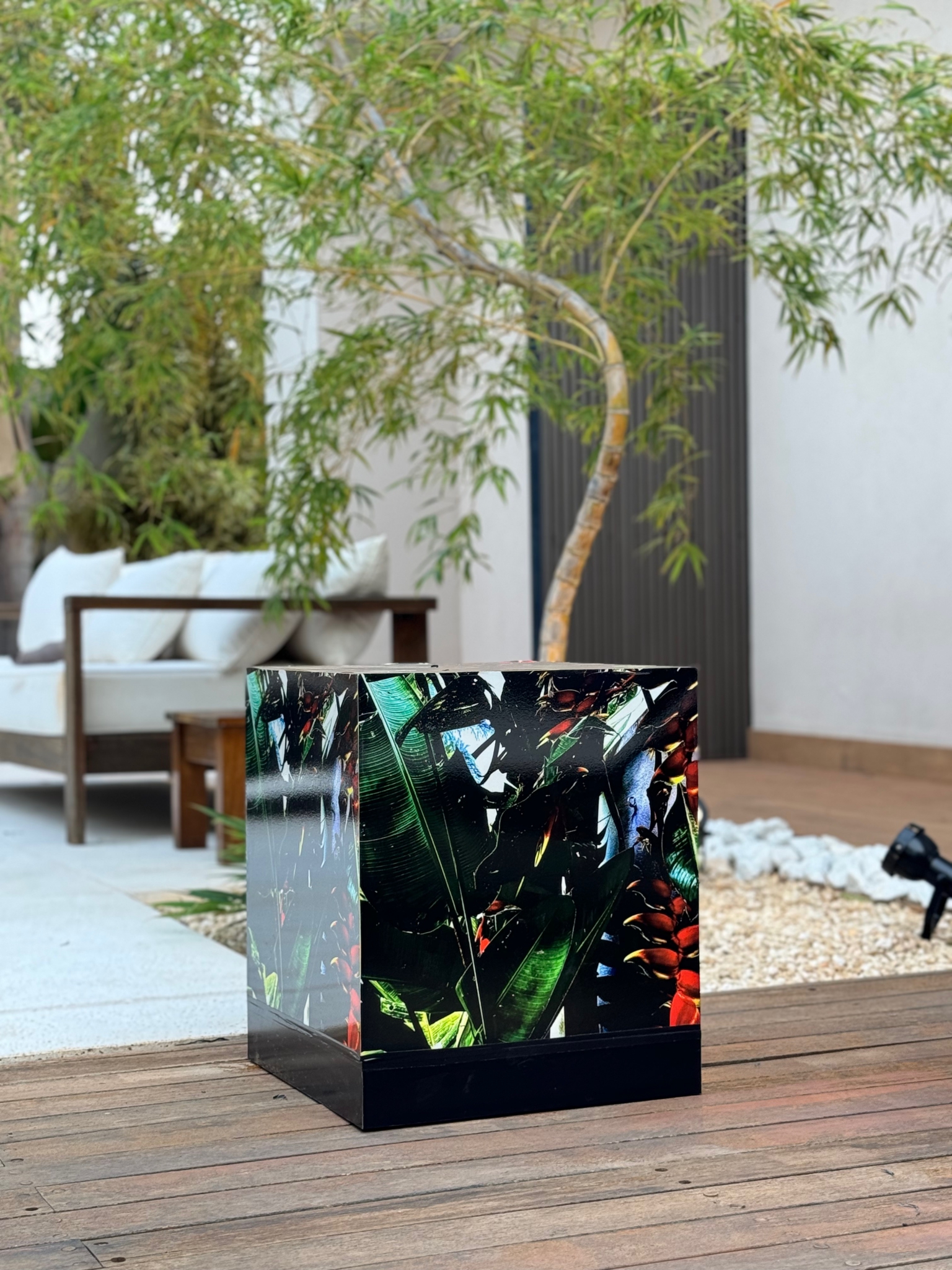Luzes da Floresta - Cubo Jardim by Silvana LaCreta Ravena