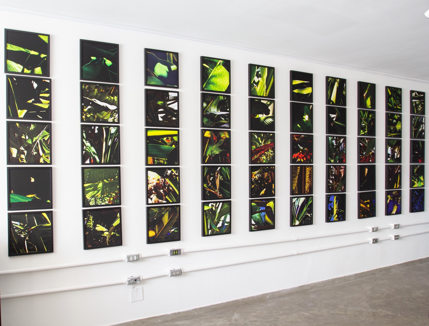 Click here to view    Noites da Floresta Series - Painel Vitral by Silvana LaCreta Ravena